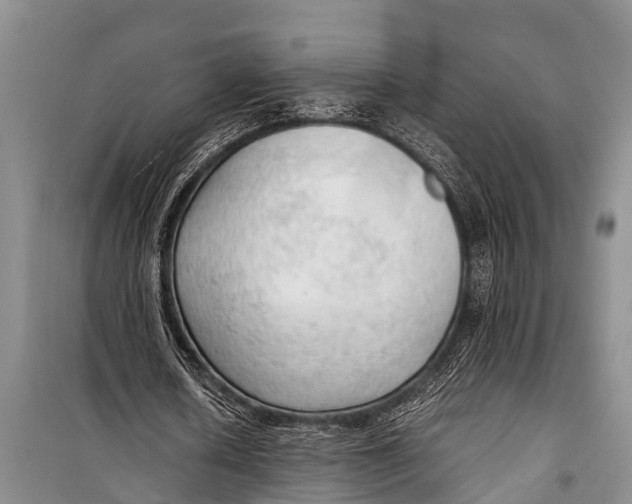 X0000098190626200805151206