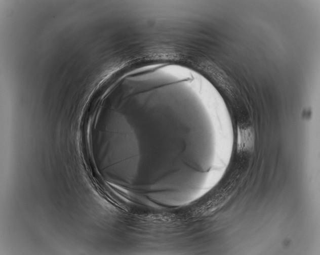 X0000098190627200805151206