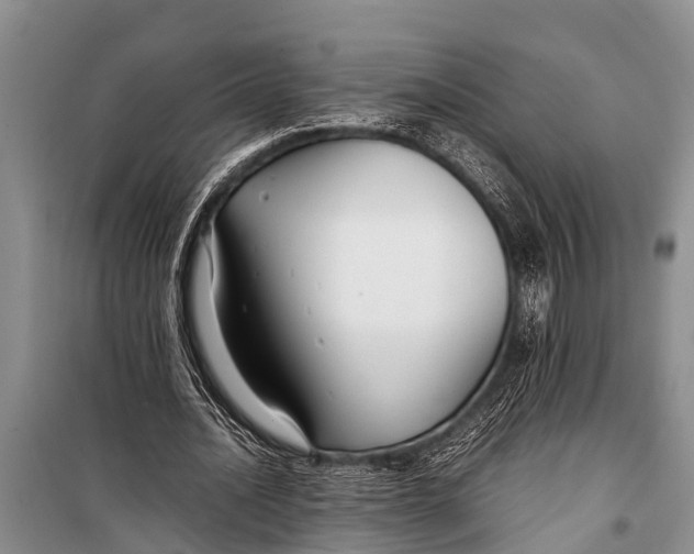 X0000098190628200805151206