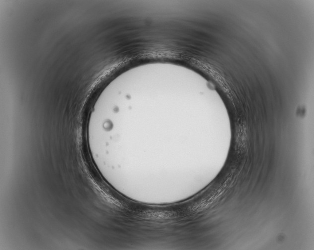 X0000098190629200805151206