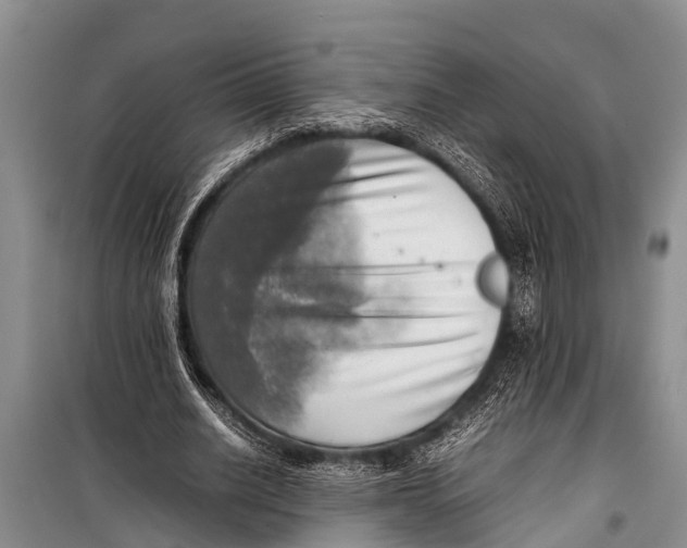 X0000098190630200805151206