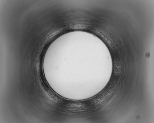 X0000098190631200805151206