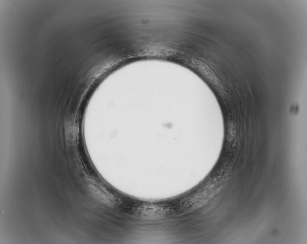 X0000098190632200805151206