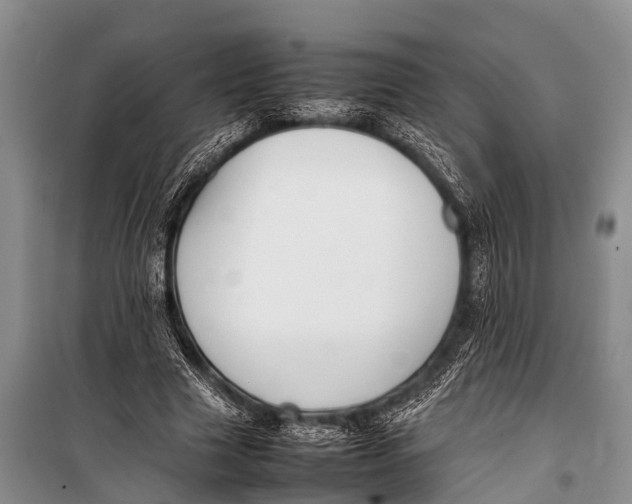 X0000098190633200805151206