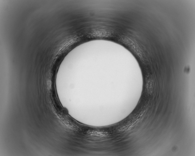 X0000098190635200805151206