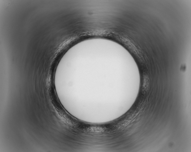 X0000098190636200805151206