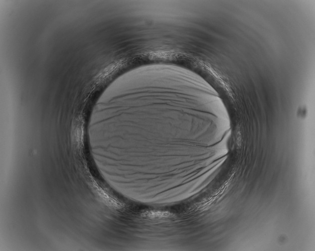X0000098190637200805151206