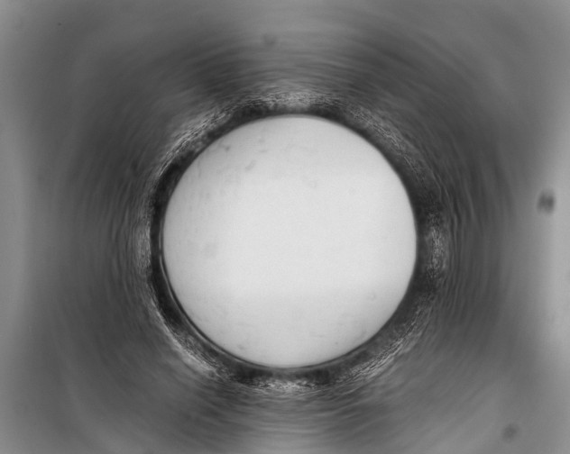 X0000098190638200805151206
