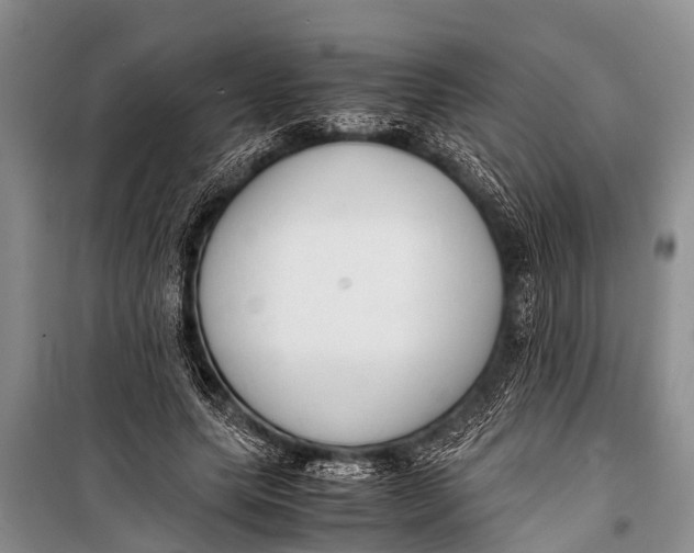 X0000098190639200805151206
