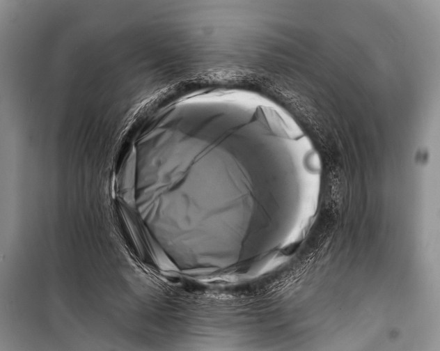 X0000098190640200805151206