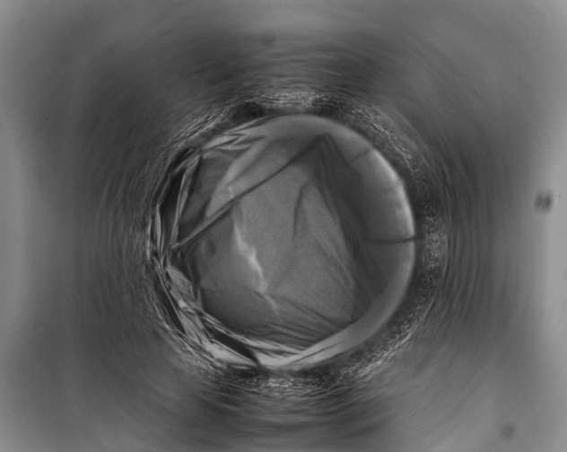 X0000098190641200805151206