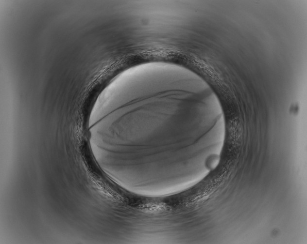 X0000098190642200805151206