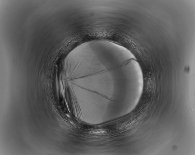 X0000098190643200805151206