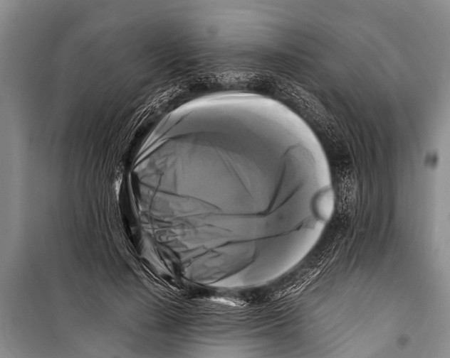 X0000098190644200805151206