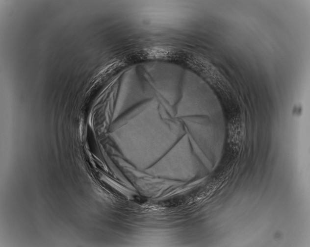 X0000098190648200805151206