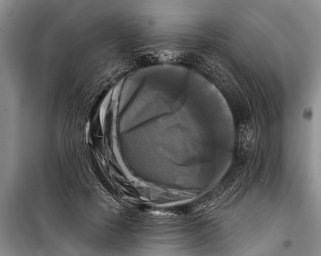 X0000098190650200805151206