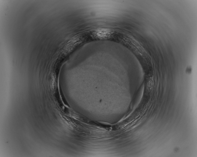 X0000098190651200805151206