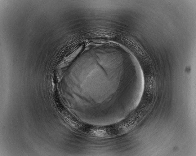 X0000098190653200805151206