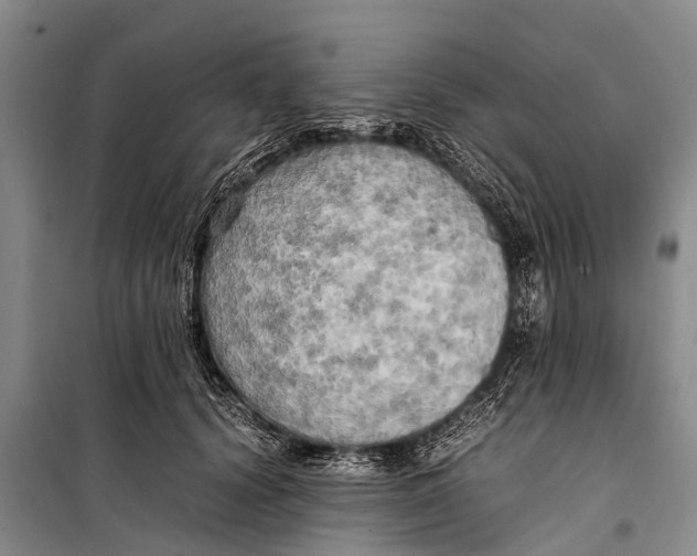 X0000098190656200805151206