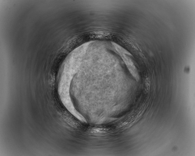 X0000098190657200805151206
