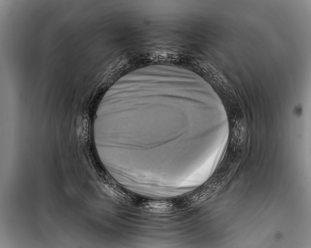 X0000098190659200805151206