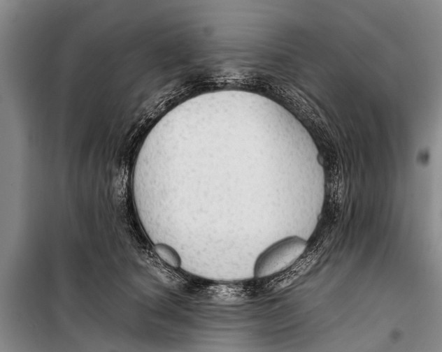 X0000098190660200805151206