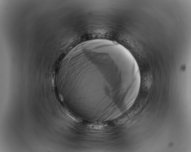X0000098190661200805151206
