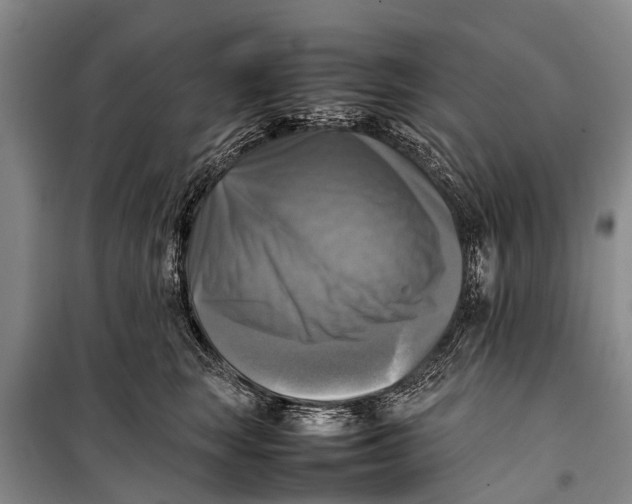 X0000098190663200805151206
