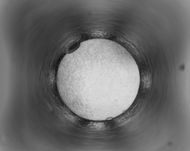 X0000098190665200805151206
