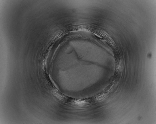 X0000098190669200805151206