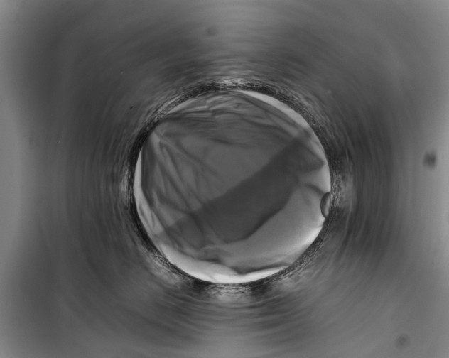 X0000098190670200805151206
