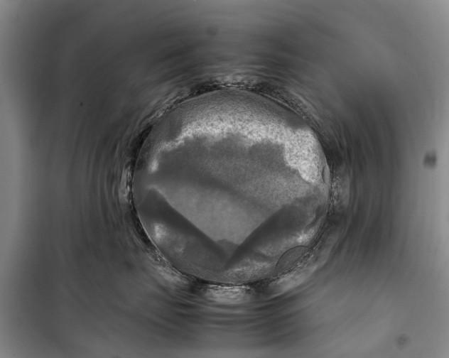 X0000098190671200805151206