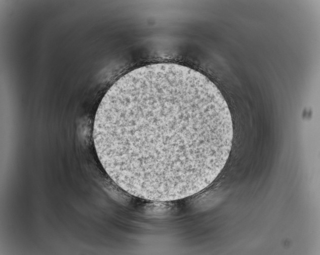 X0000098190672200805151206