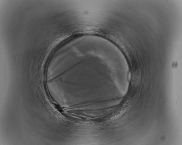 X0000098190673200805151206