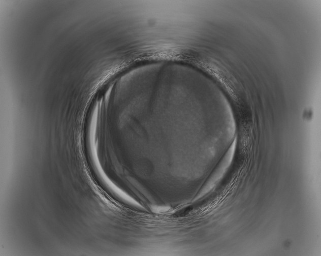 X0000098190677200805151205
