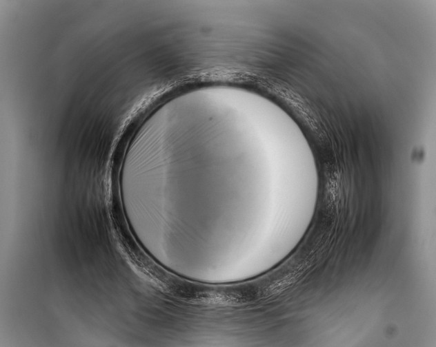 X0000098190678200805151205