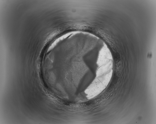 X0000098190679200805151205