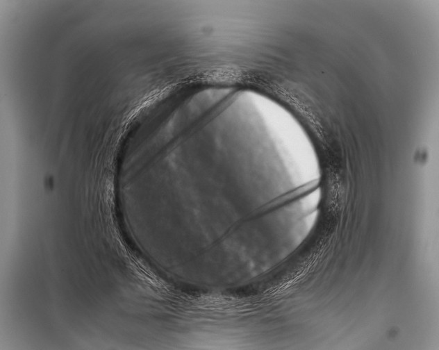 X0000098190681200805151205