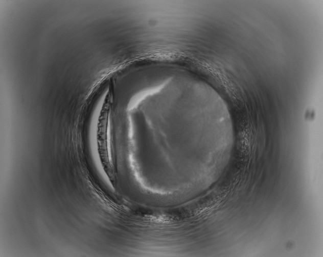 X0000098190688200805151205