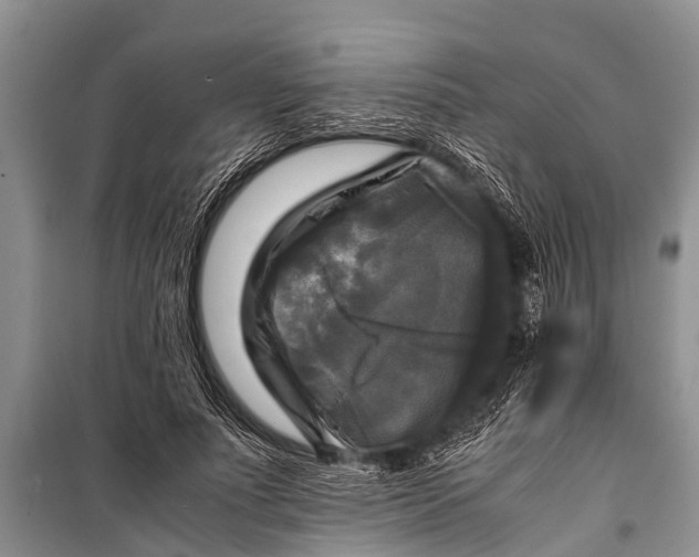 X0000098190691200805151205