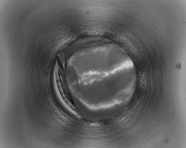X0000098190692200805151205