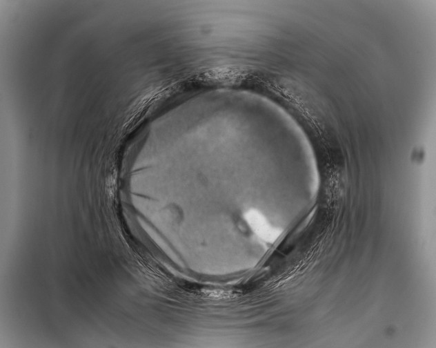X0000098190693200805151205