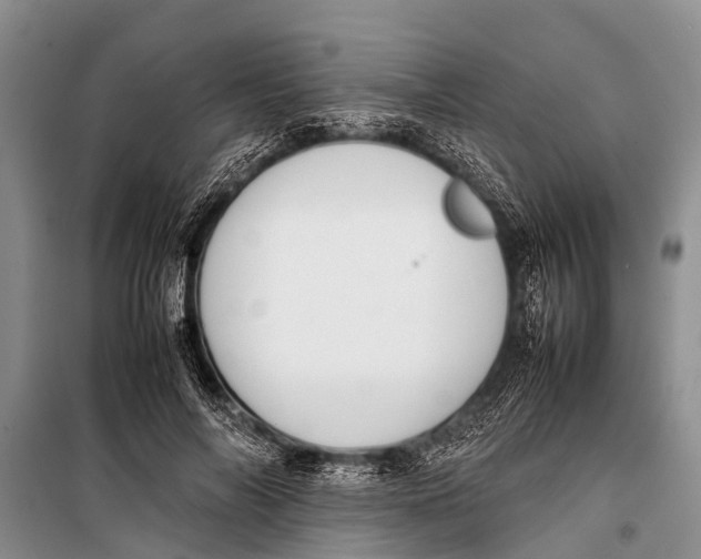 X0000098190694200805151205
