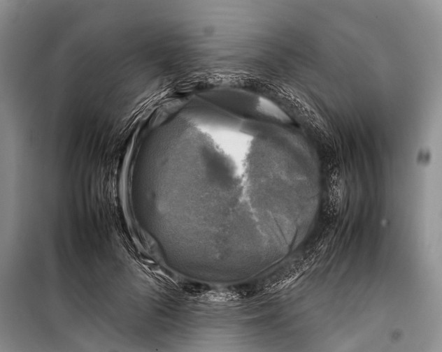 X0000098190696200805151205