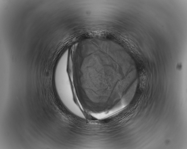 X0000098190699200805151205