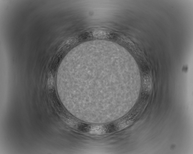 X0000098190705200805151205