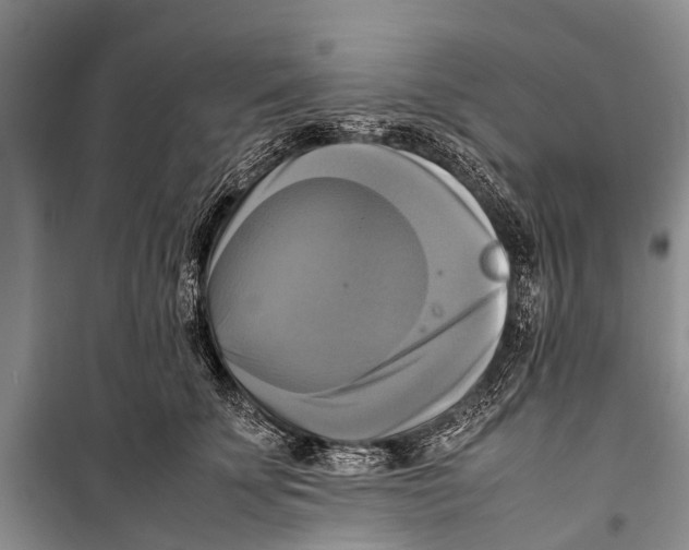 X0000098190707200805151205