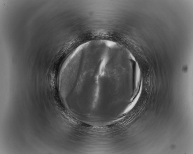 X0000098190708200805151205