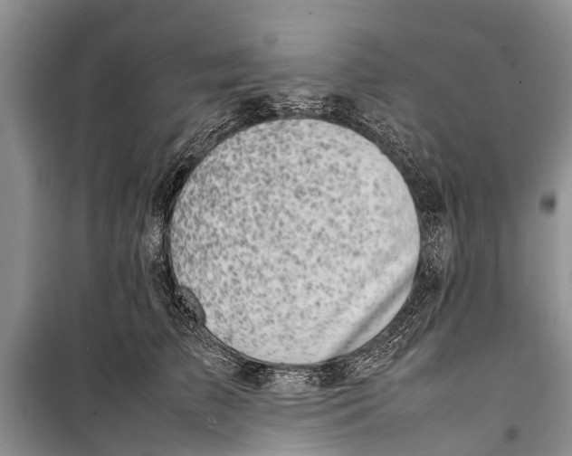 X0000098190709200805151205