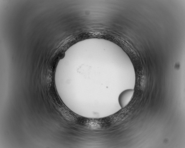 X0000098190710200805151205
